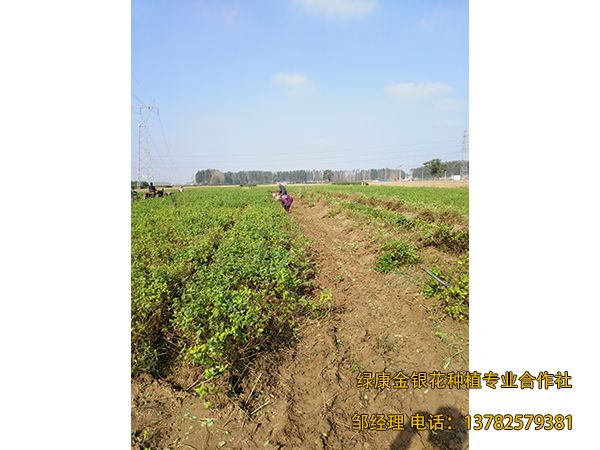 施工現(xiàn)場(chǎng)