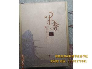 金銀花成品包裝