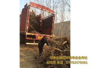 2016年11月份發貨